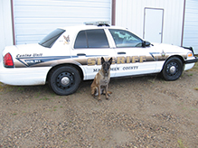K9 Hondo